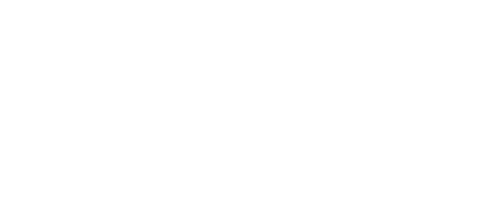 Flyinco Travel & Tourism
